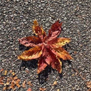 WELCOME TO MY CLOSET! 🥰